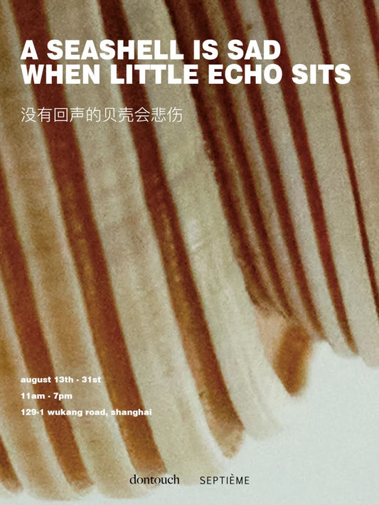 A SEASHELL IS SAD WHEN LITTLE ECHO SITS 没有回声的贝壳会悲伤